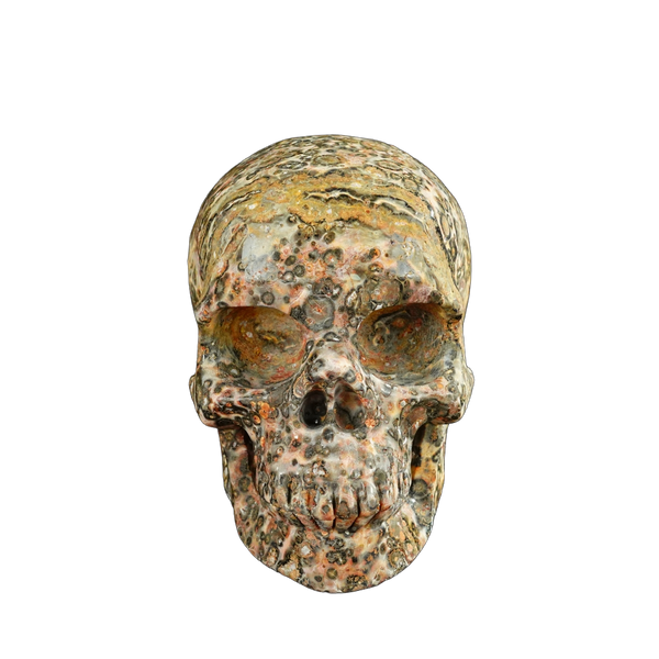 4.5" Red Leopard skin stone Crystal Skull Carving - Unique Piece #LS02
