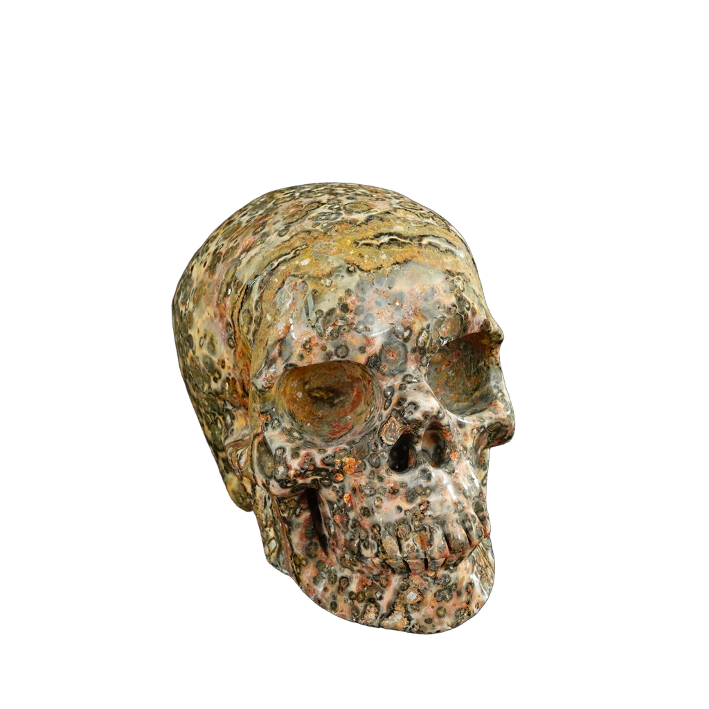 4.5" Red Leopard skin stone Crystal Skull Carving - Unique Piece #LS02