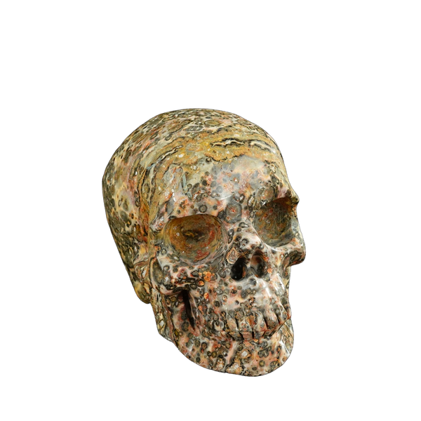 4.5" Red Leopard skin stone Crystal Skull Carving - Unique Piece #LS02 - alternate view