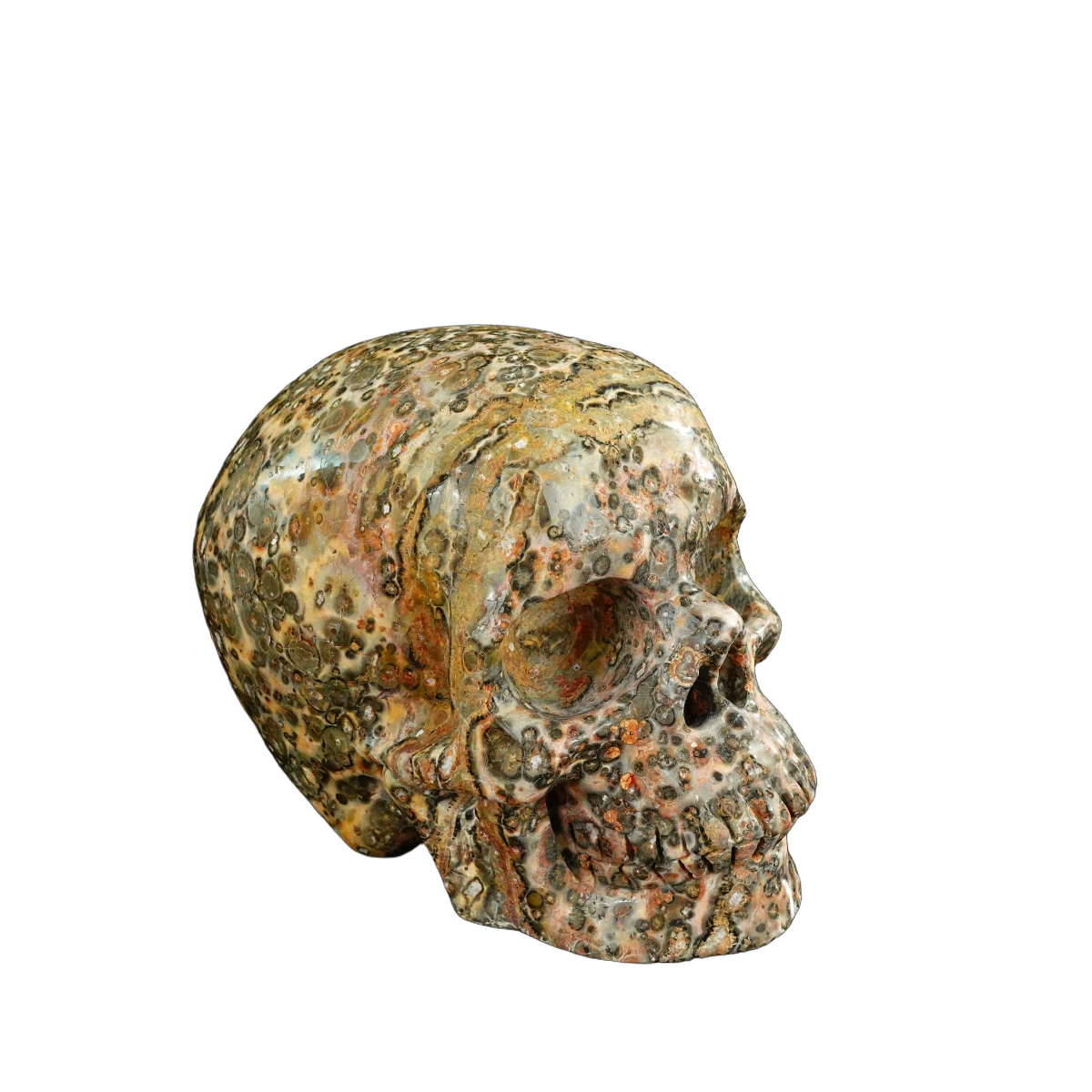 4.5" Red Leopard skin stone Crystal Skull Carving - Unique Piece #LS02