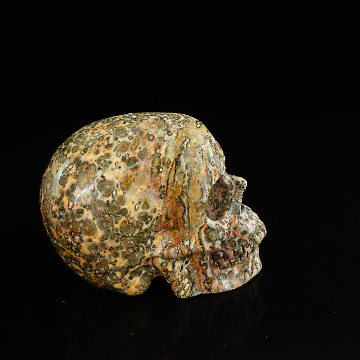 4.5" Red Leopard skin stone Crystal Skull Carving - Unique Piece #LS02