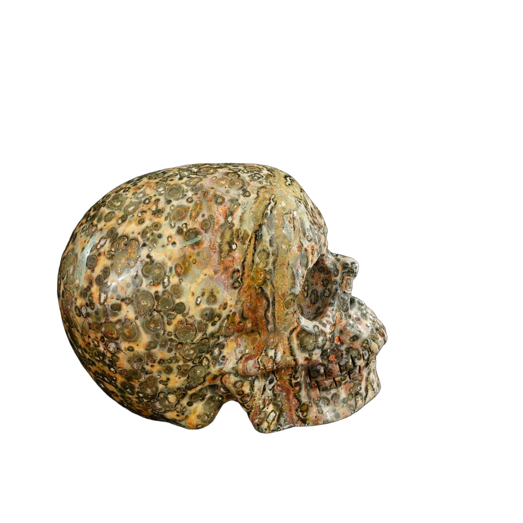 4.5" Red Leopard skin stone Crystal Skull Carving - Unique Piece #LS02