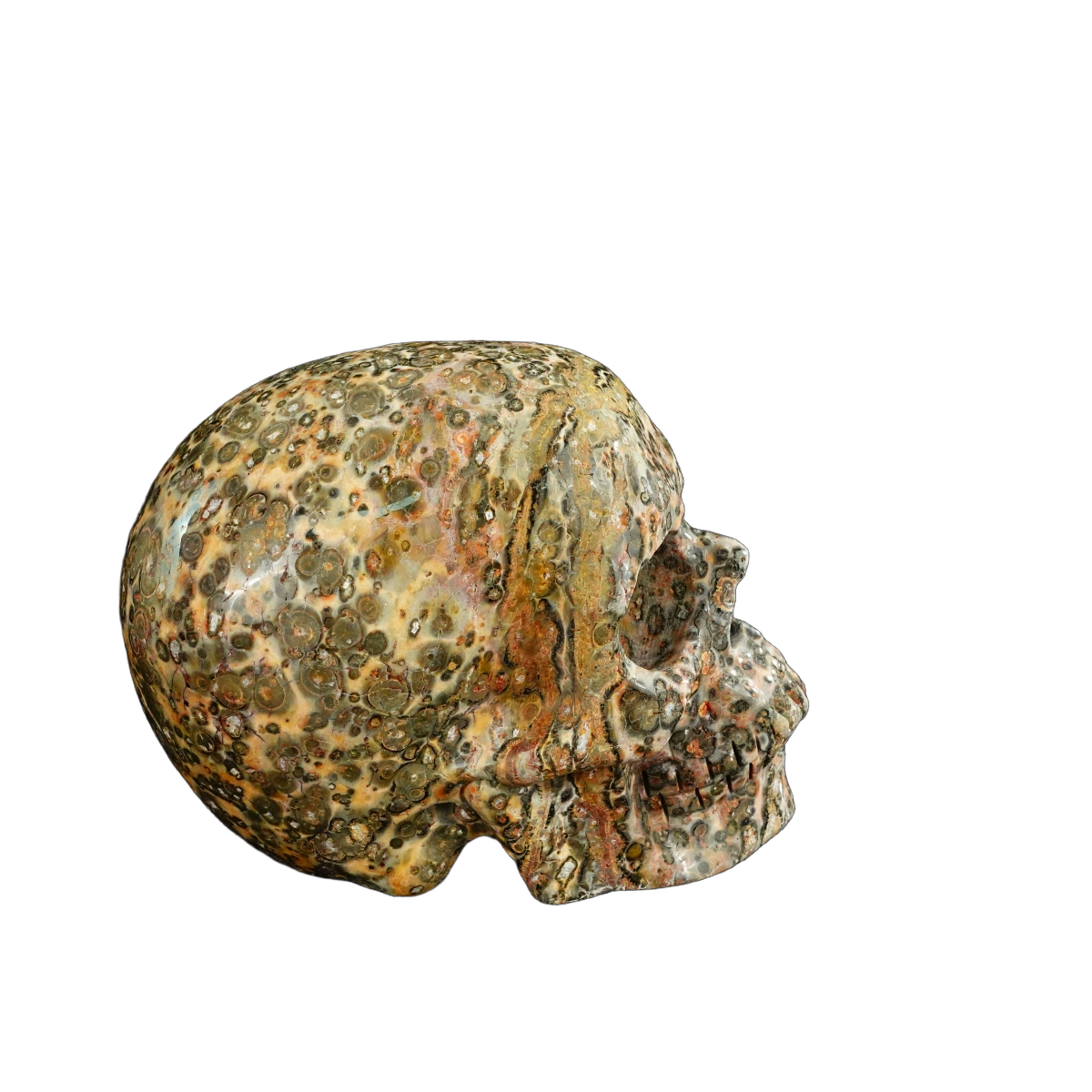 4.5" Red Leopard skin stone Crystal Skull Carving - Unique Piece #LS02