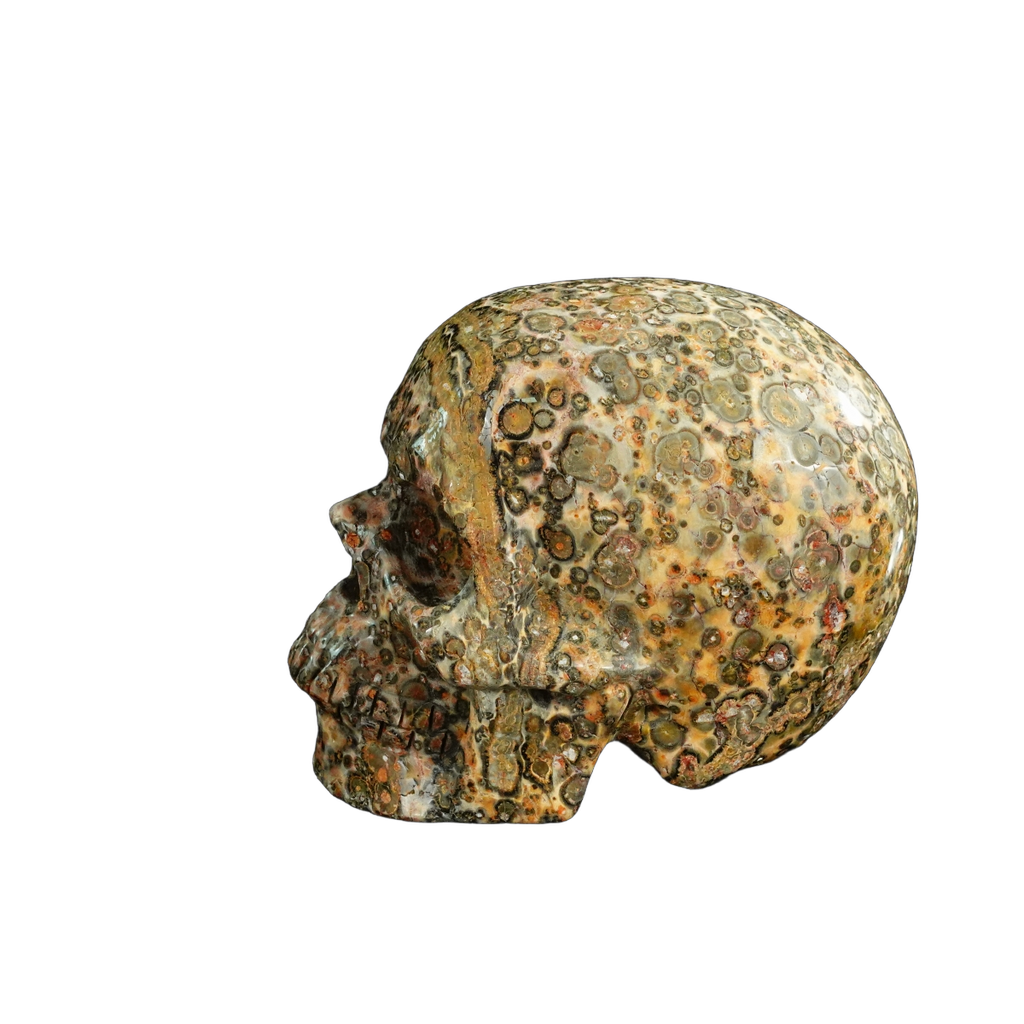 4.5" Red Leopard skin stone Crystal Skull Carving - Unique Piece #LS02