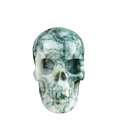 4.5" Moss Agate Crystal Skull Carving - Unique Piece #MA01