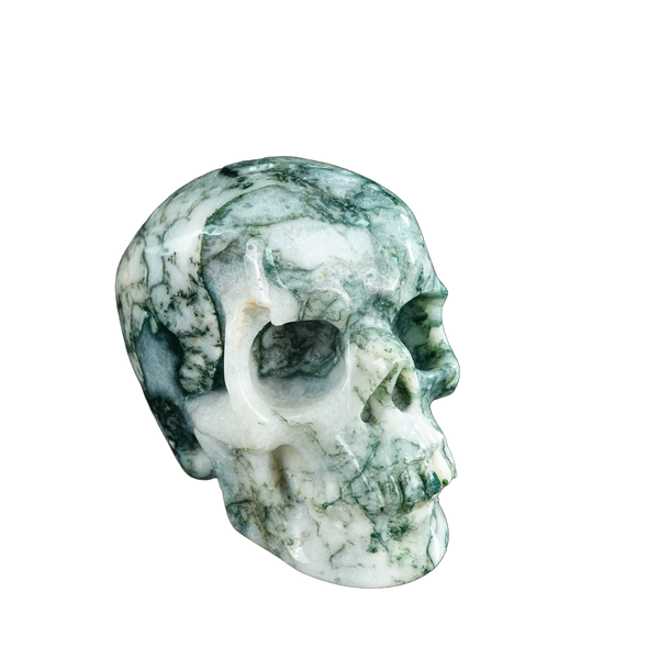 4.5" Moss Agate Crystal Skull Carving - Unique Piece #MA01 - alternate view