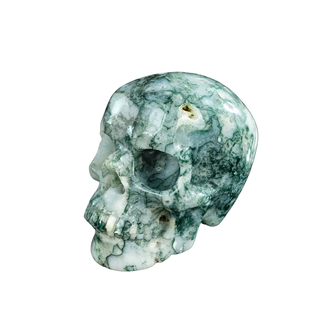 4.5" Moss Agate Crystal Skull Carving - Unique Piece #MA01