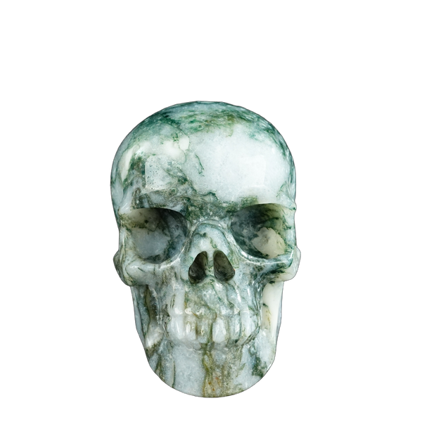 4.5" Moss Agate Crystal Skull Carving - Unique Piece #MA02