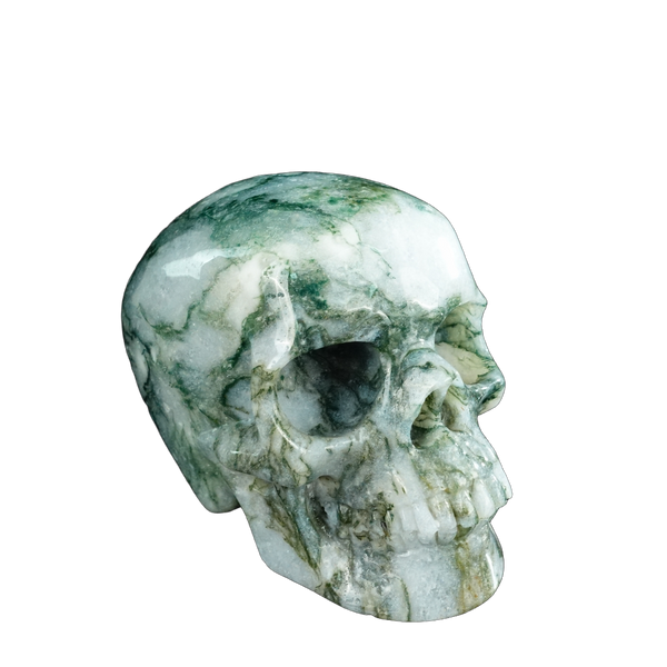 4.5" Moss Agate Crystal Skull Carving - Unique Piece #MA02 - alternate view