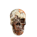 4.5" Money agate Crystal Skull Carving - Unique Piece #MG01