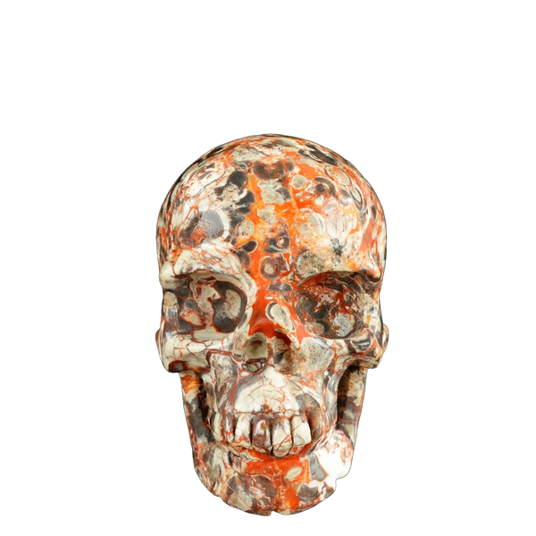 4.5" Money agate Crystal Skull Carving - Unique Piece #MG02