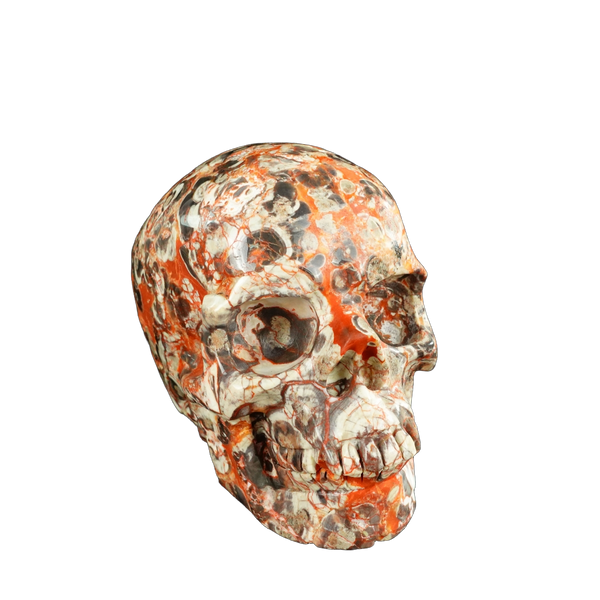 4.5" Money agate Crystal Skull Carving - Unique Piece #MG02 - alternate view
