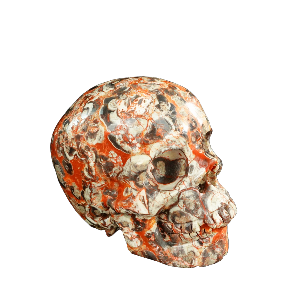4.5" Money agate Crystal Skull Carving - Unique Piece #MG02