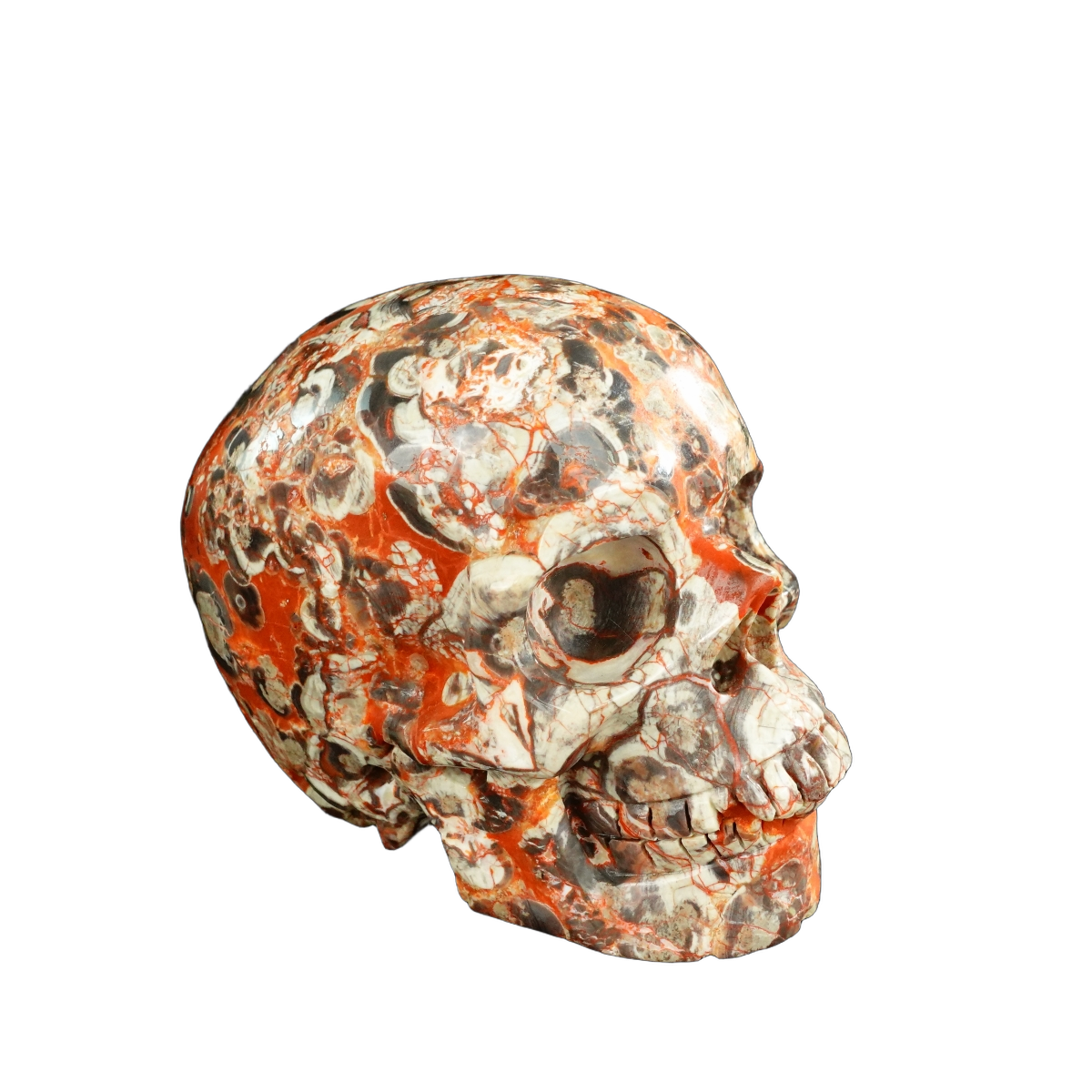 4.5" Money agate Crystal Skull Carving - Unique Piece #MG02