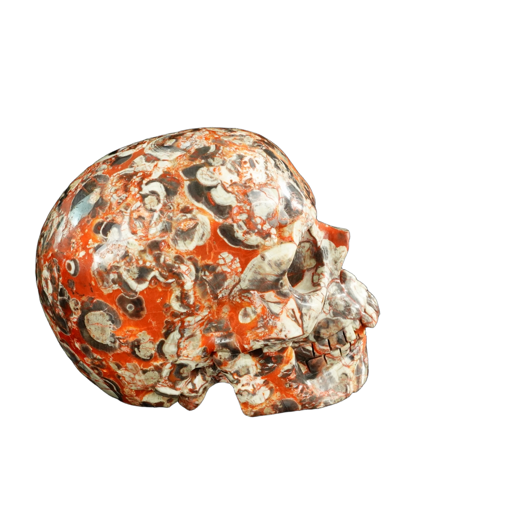 4.5" Money agate Crystal Skull Carving - Unique Piece #MG02