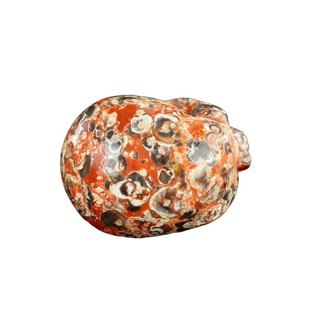 4.5" Money agate Crystal Skull Carving - Unique Piece #MG02