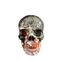 4.5" Red Crazy Lace Agate Crystal Skull Carving - Hand Carved Decor