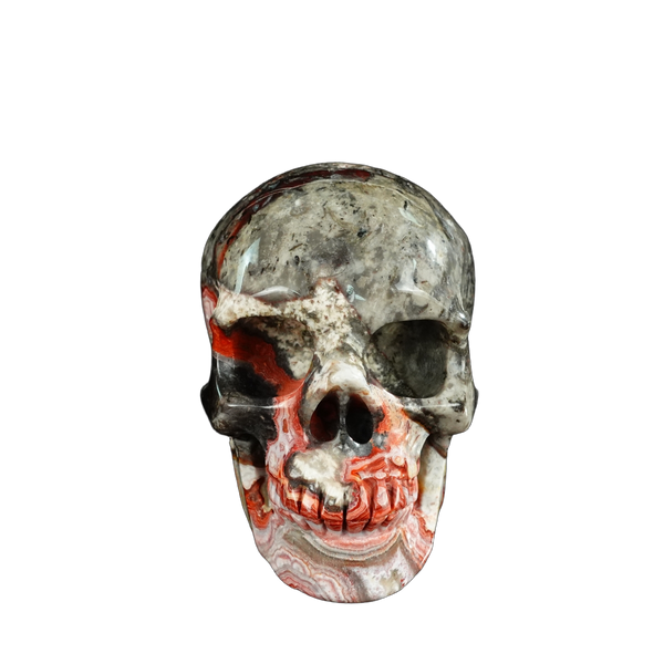 4.5" Red Crazy Lace Agate Crystal Skull Carving - Hand Carved Decor