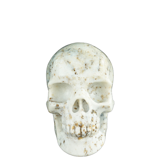4.5" White Opal Crystal Skull Carving - Unique Piece #WO01