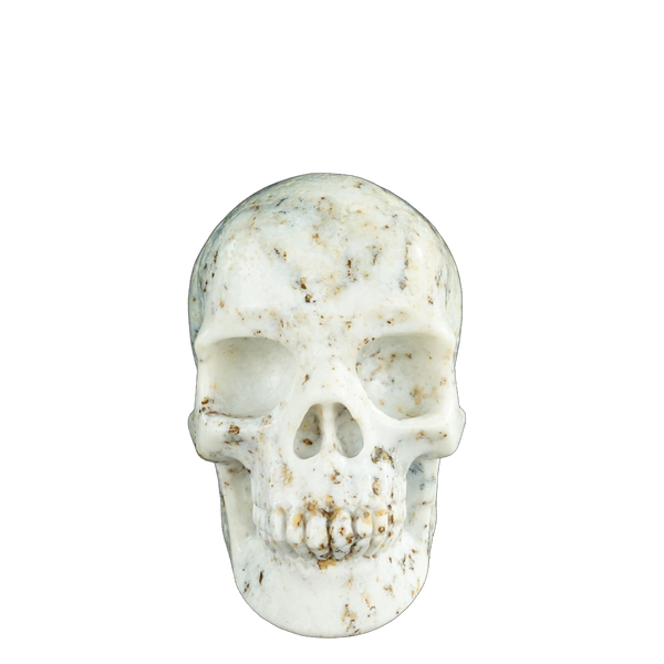 4.5" White Opal Crystal Skull Carving - Unique Piece #WO01