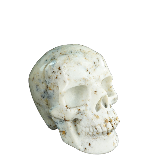4.5" White Opal Crystal Skull Carving - Unique Piece #WO01
