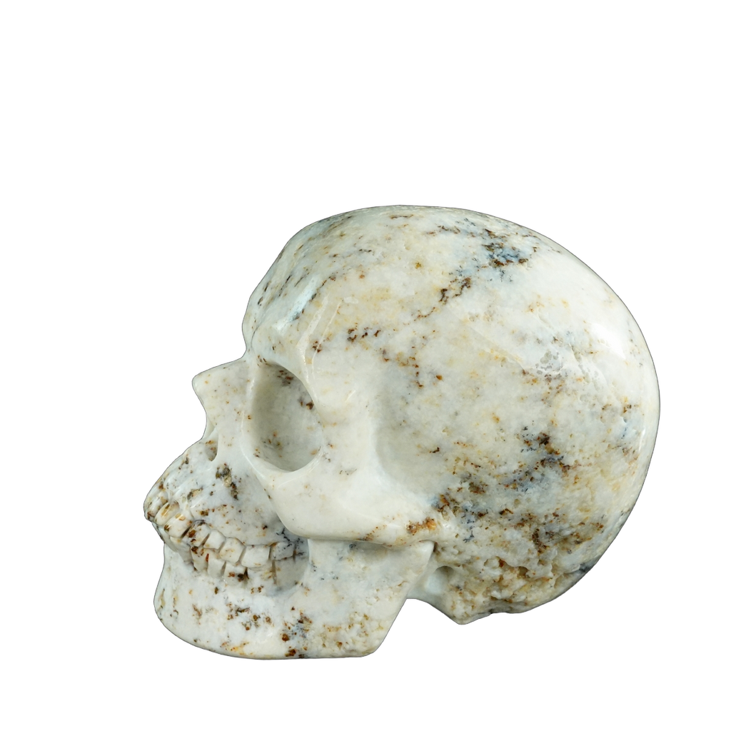 4.5" White Opal Crystal Skull Carving - Unique Piece #WO01