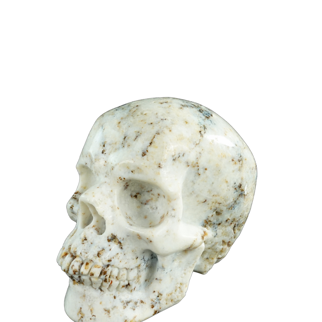 4.5" White Opal Crystal Skull Carving - Unique Piece #WO01