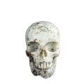 4.5" White Opal Crystal Skull Carving - Unique Piece #WO02
