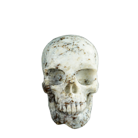 4.5" White Opal Crystal Skull Carving - Unique Piece #WO02