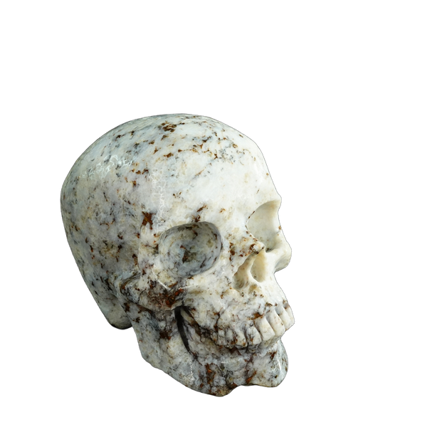 4.5" White Opal Crystal Skull Carving - Unique Piece #WO02 - alternate view