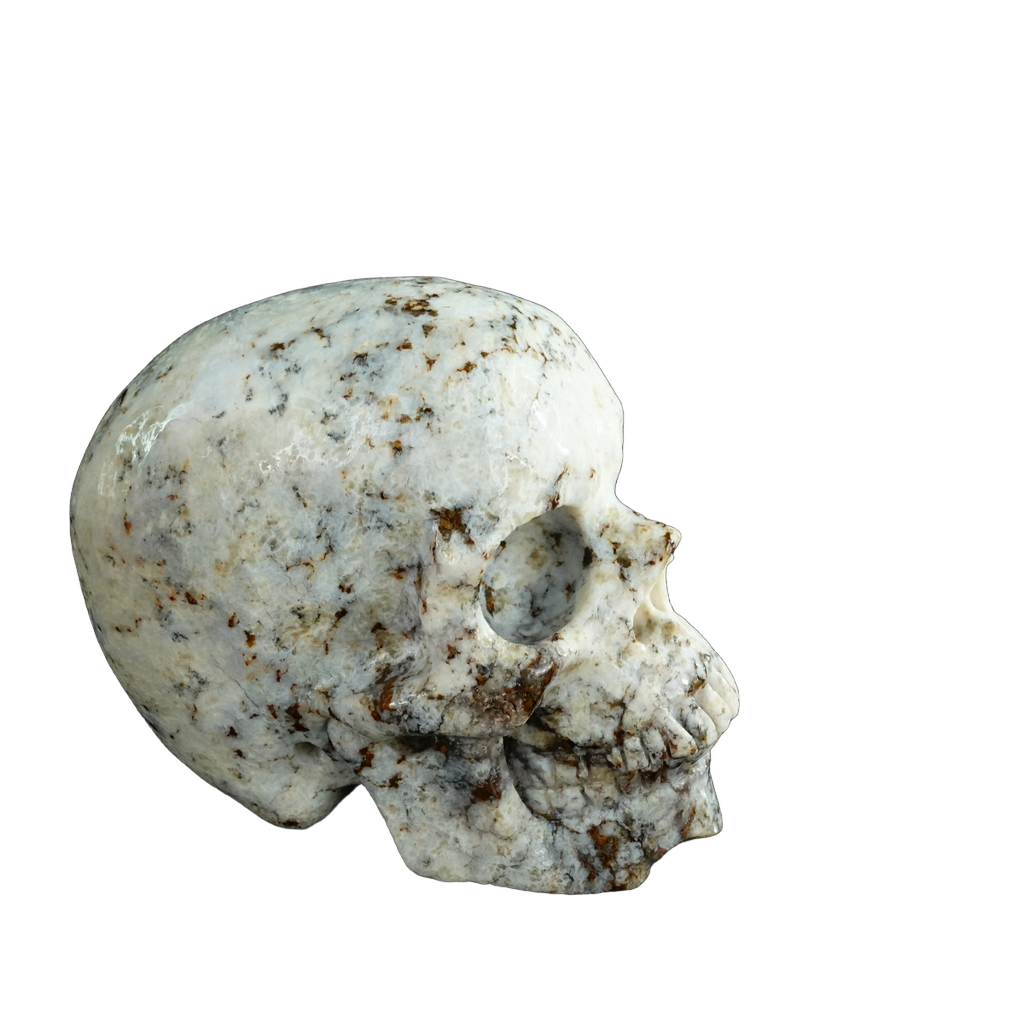 4.5" White Opal Crystal Skull Carving - Unique Piece #WO02