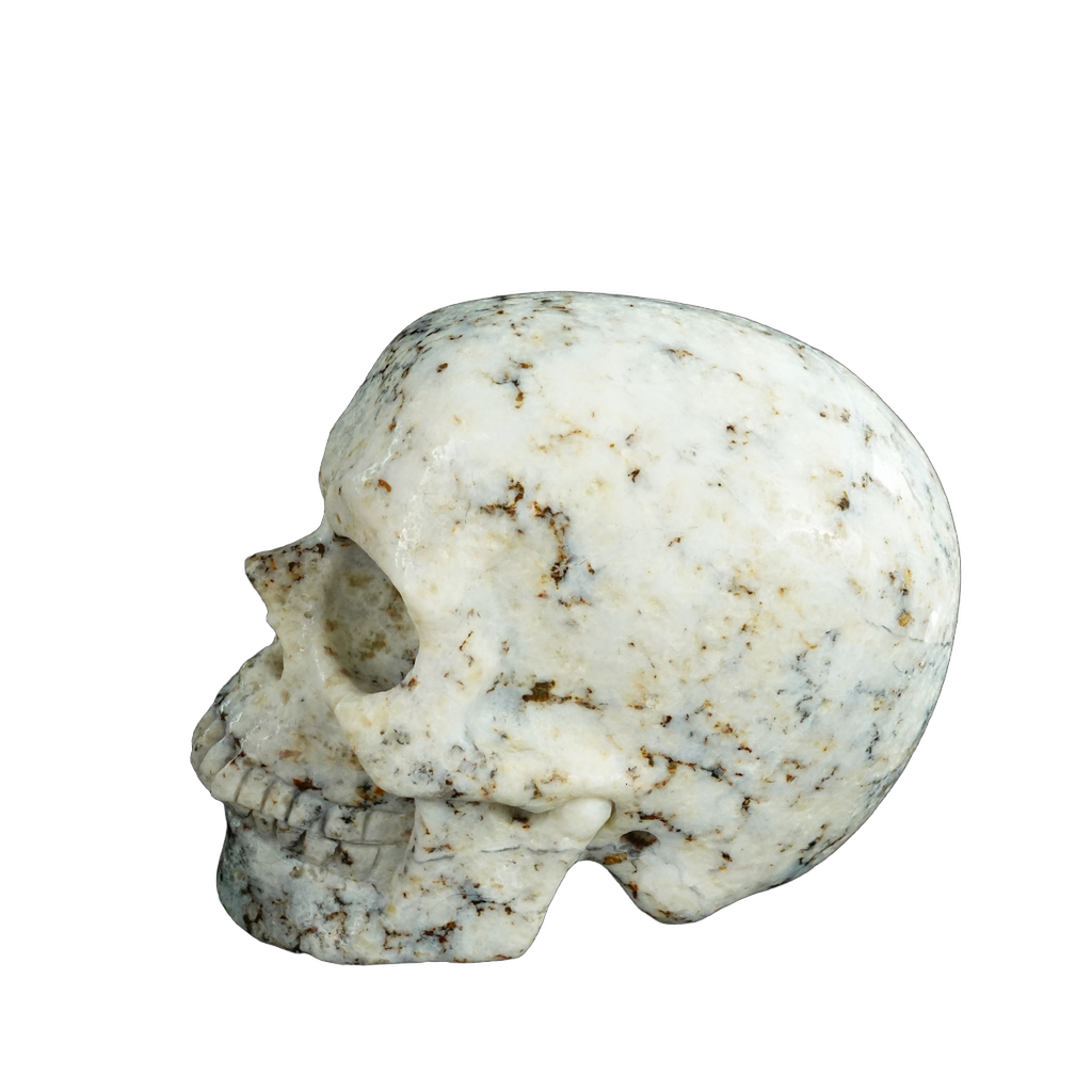 4.5" White Opal Crystal Skull Carving - Unique Piece #WO02