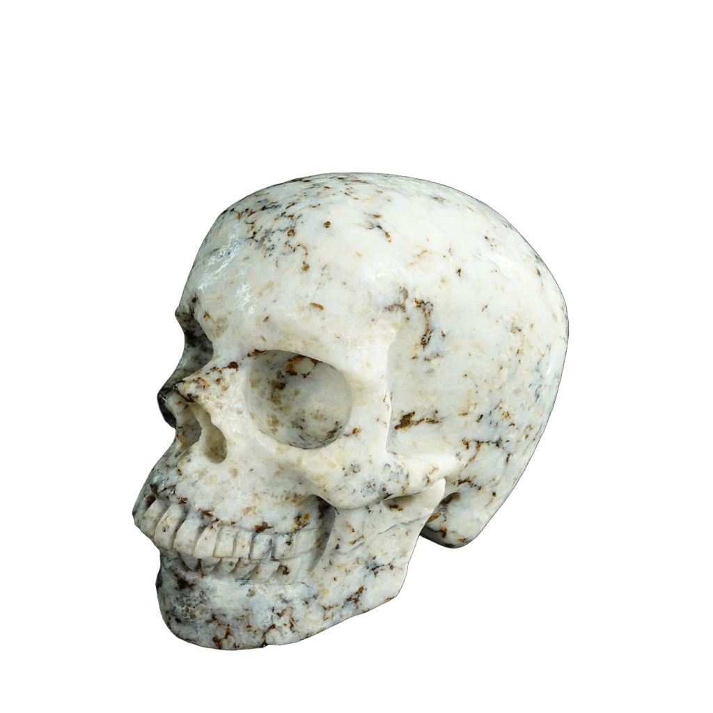 4.5" White Opal Crystal Skull Carving - Unique Piece #WO02