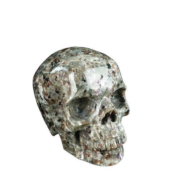 4.5" Yooperlite Crystal Skull Carving - Unique Piece #YP01 - alternate view