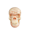 4.5" Zebra Jasper Crystal Skull Carving - Unique Piece #ZS01