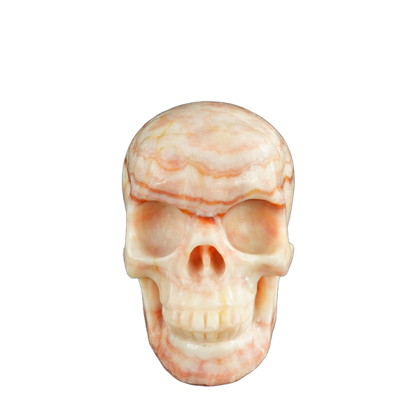 4.5" Zebra Jasper Crystal Skull Carving - Unique Piece #ZS01