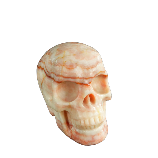 4.5" Zebra Jasper Crystal Skull Carving - Unique Piece #ZS01 - alternate view