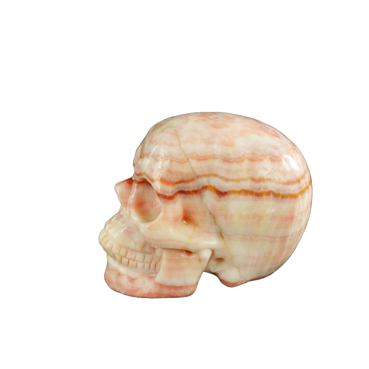 4.5" Zebra Jasper Crystal Skull Carving - Unique Piece #ZS01