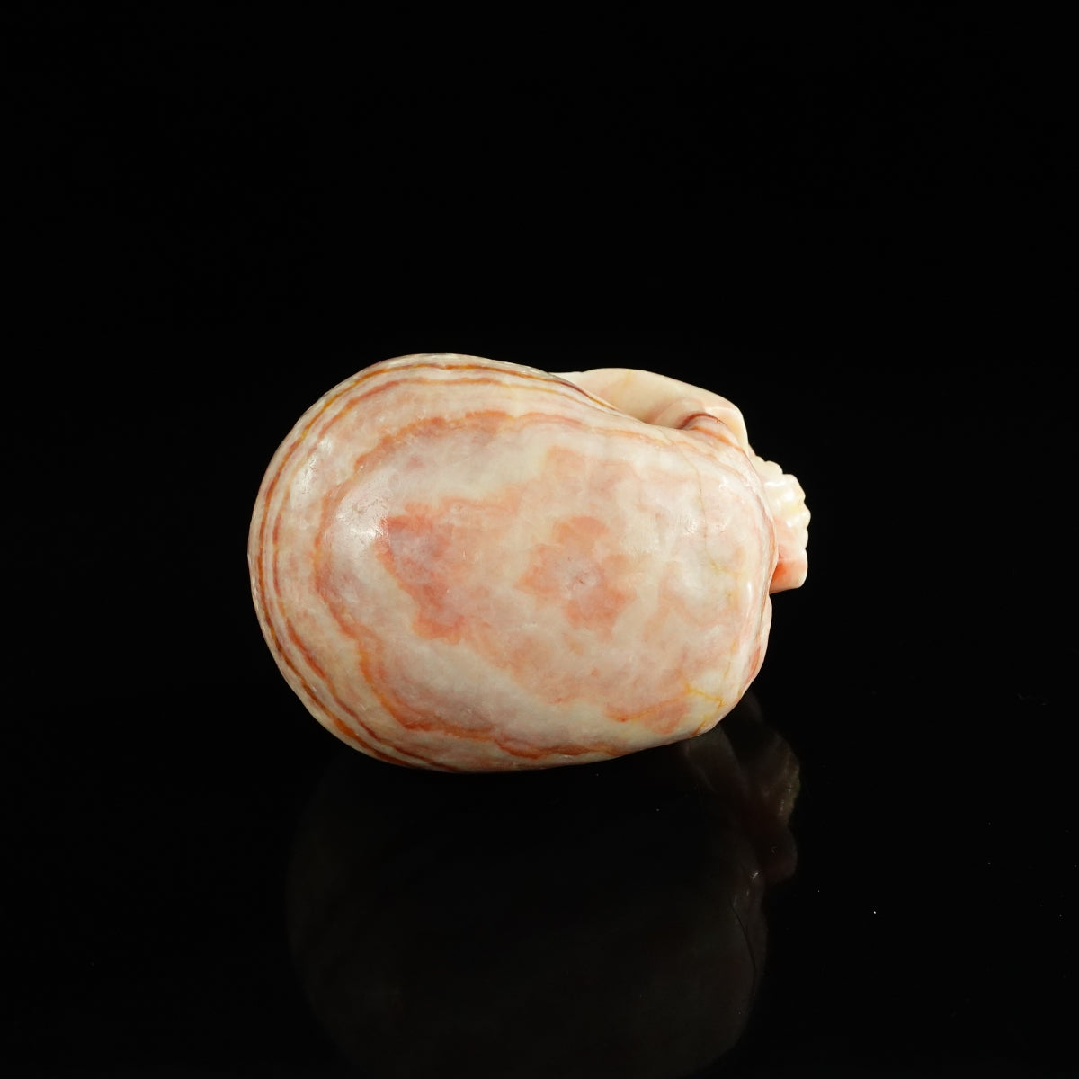 4.5" Zebra Jasper Crystal Skull Carving - Unique Piece #ZS01
