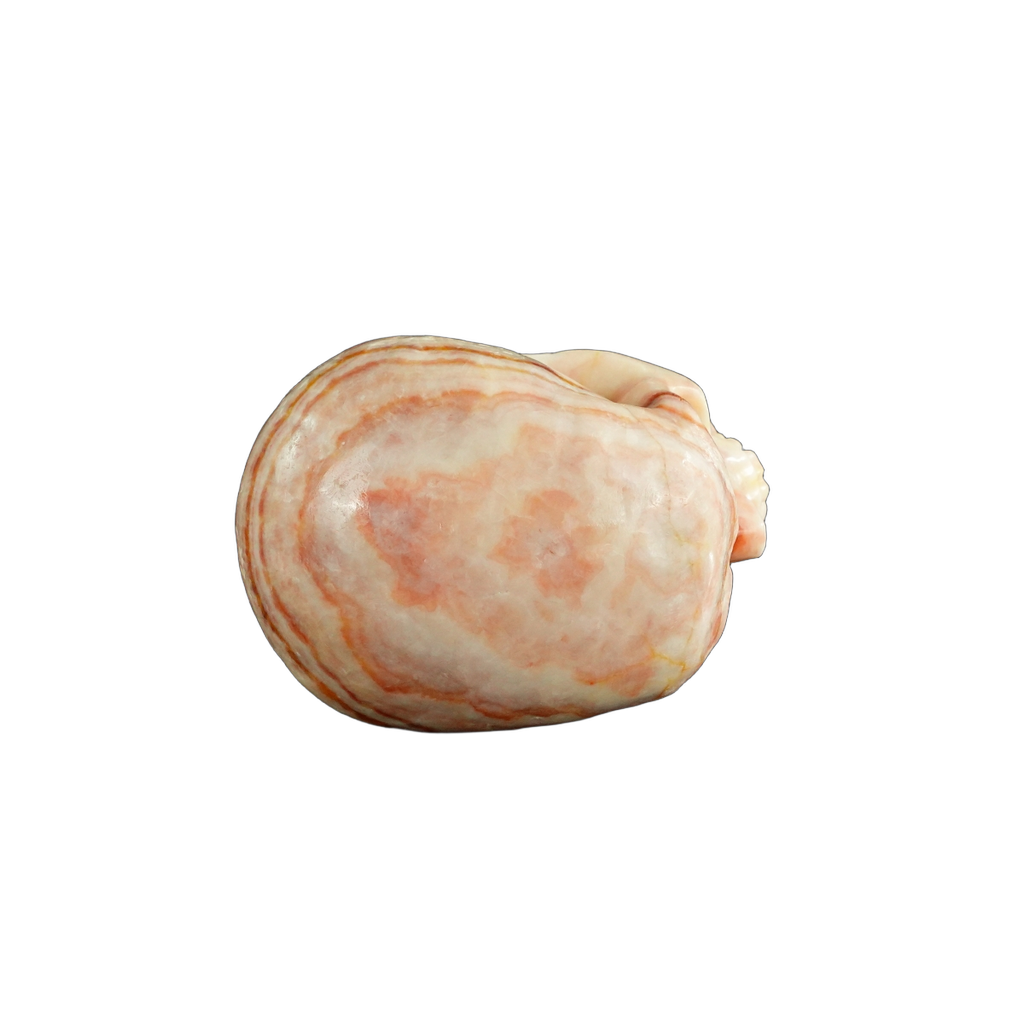 4.5" Zebra Jasper Crystal Skull Carving - Unique Piece #ZS01