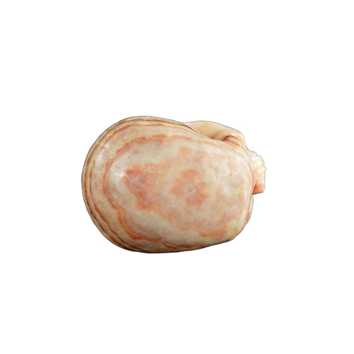 4.5" Zebra Jasper Crystal Skull Carving - Unique Piece #ZS01