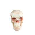 4.5" Zebra Jasper Crystal Skull Carving - Unique Piece #ZS02