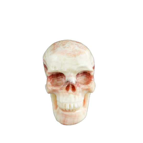 4.5" Zebra Jasper Crystal Skull Carving - Unique Piece #ZS02