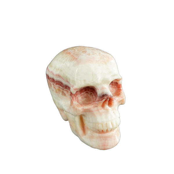 4.5" Zebra Jasper Crystal Skull Carving - Unique Piece #ZS02 - alternate view
