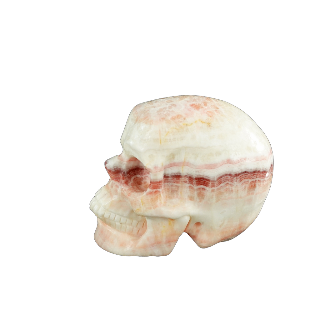 4.5" Zebra Jasper Crystal Skull Carving - Unique Piece #ZS02