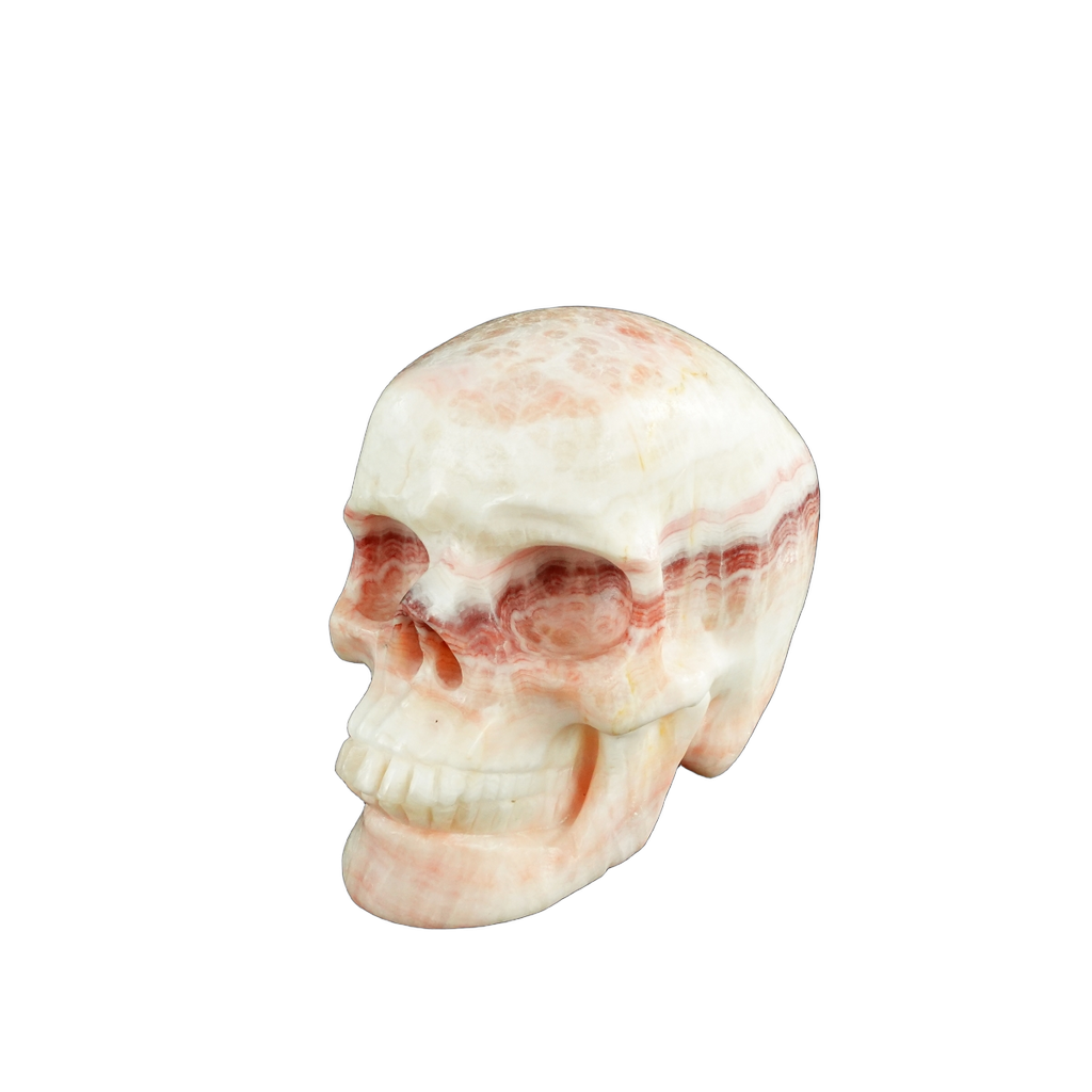 4.5" Zebra Jasper Crystal Skull Carving - Unique Piece #ZS02