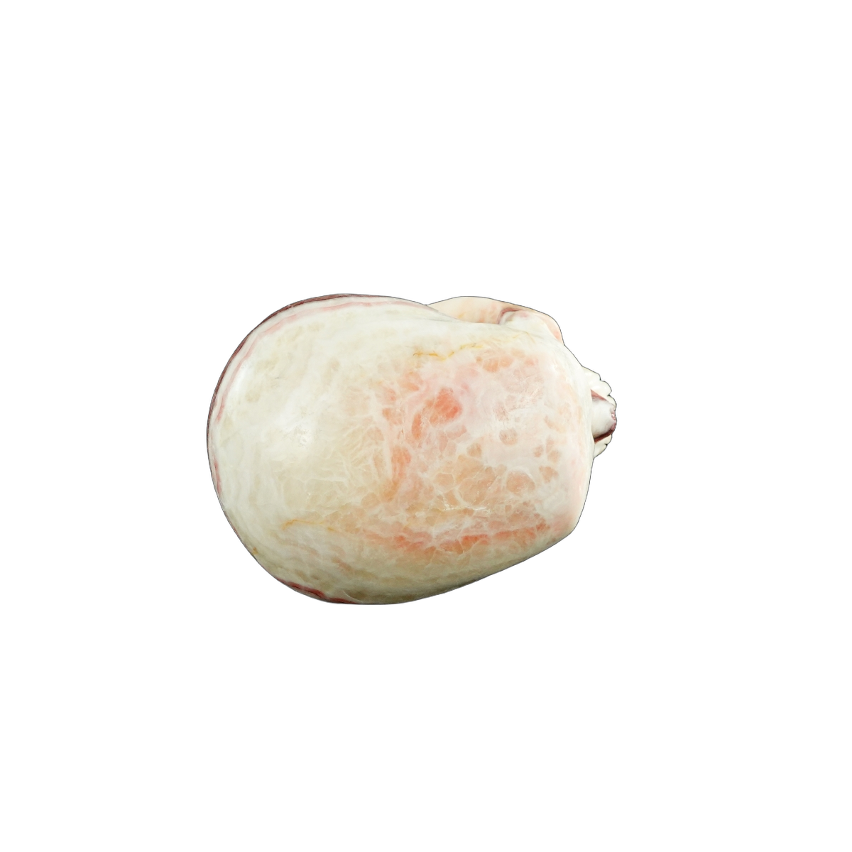 4.5" Zebra Jasper Crystal Skull Carving - Unique Piece #ZS02